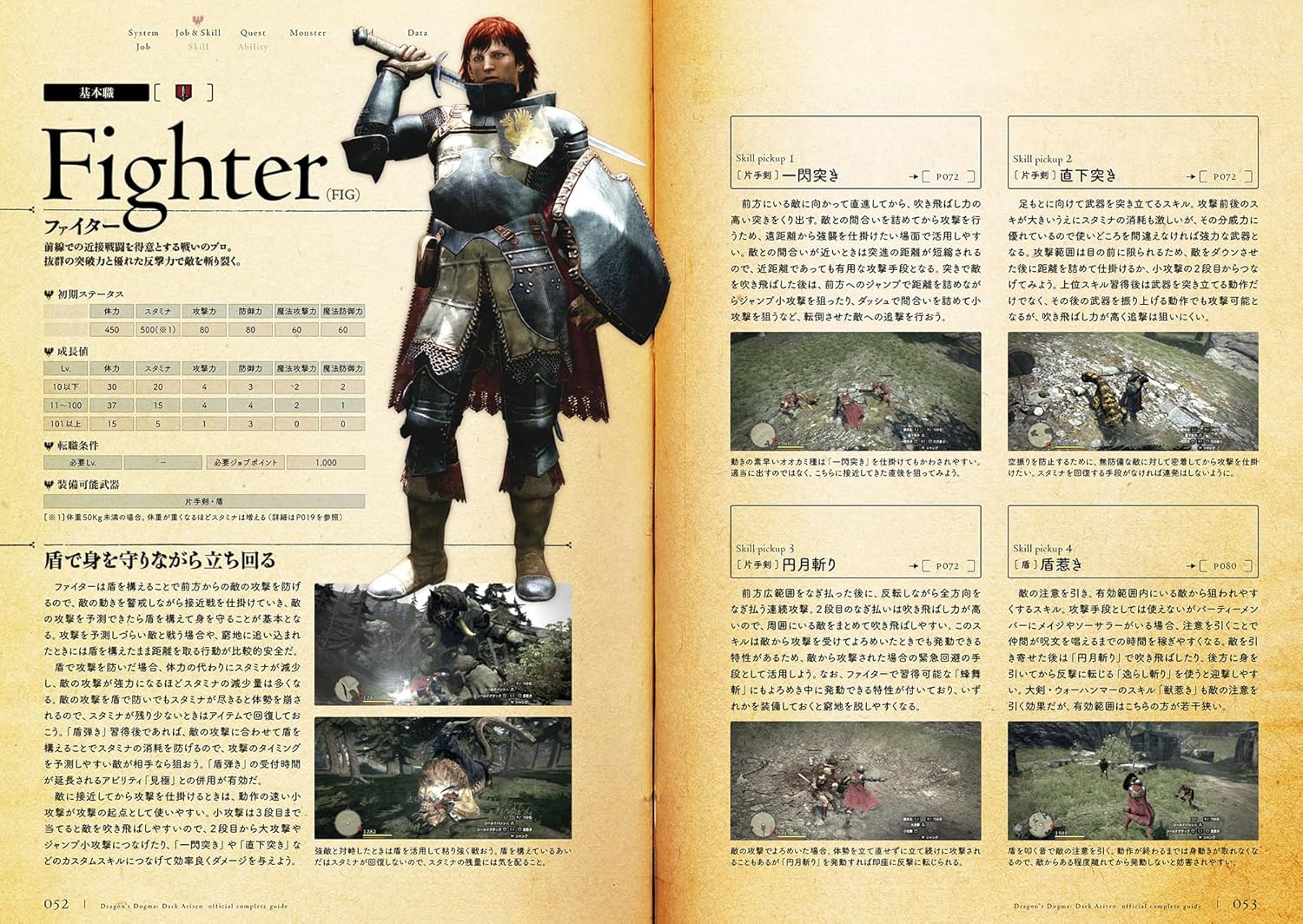 Official Dragon's Dogma Complete Guide 2013 (671 pages) Japanese