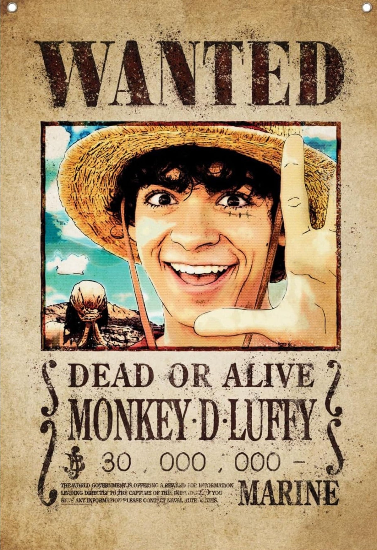 Official One Piece Wanted Poster Wall Banner (125x85cm)