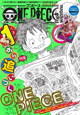 Anime One Piece Magazine Vol.17 (169 page) Japanes