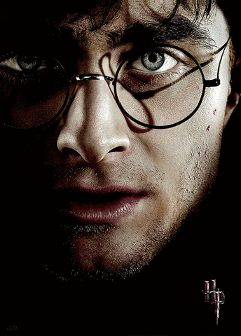 Harry Potter 3D Poster (size: 70*50) + Frame