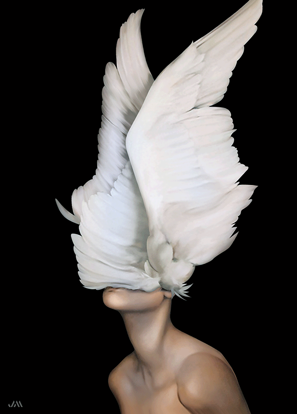 [JSM] Wings Art 3D Poster (size: 70*50) + Frame