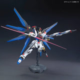 HG Strike Freedom Gundam Model Kit
