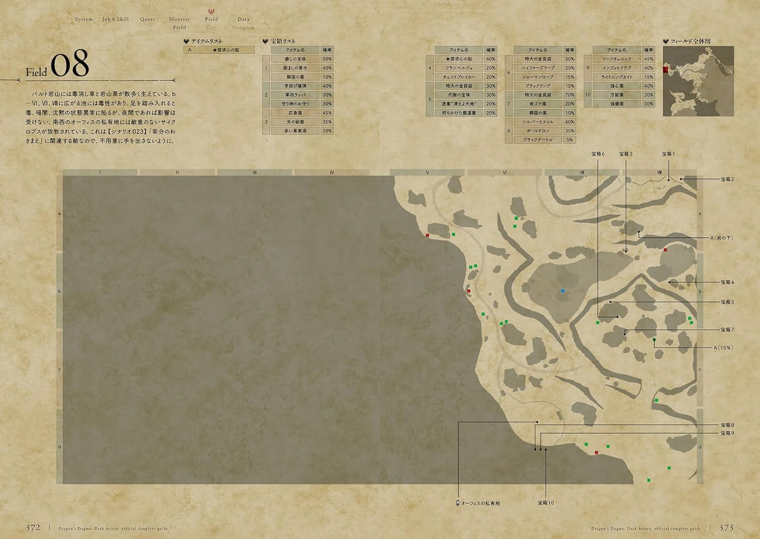 Official Dragon's Dogma Complete Guide 2013 (671 pages) Japanese