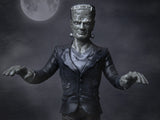 [JSM] Frankenstein Doll Figure from Bendyfigs - (17cm)