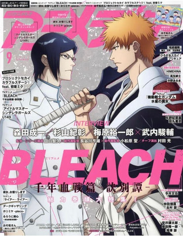 Anime Bleach Magazine (Japanese)
