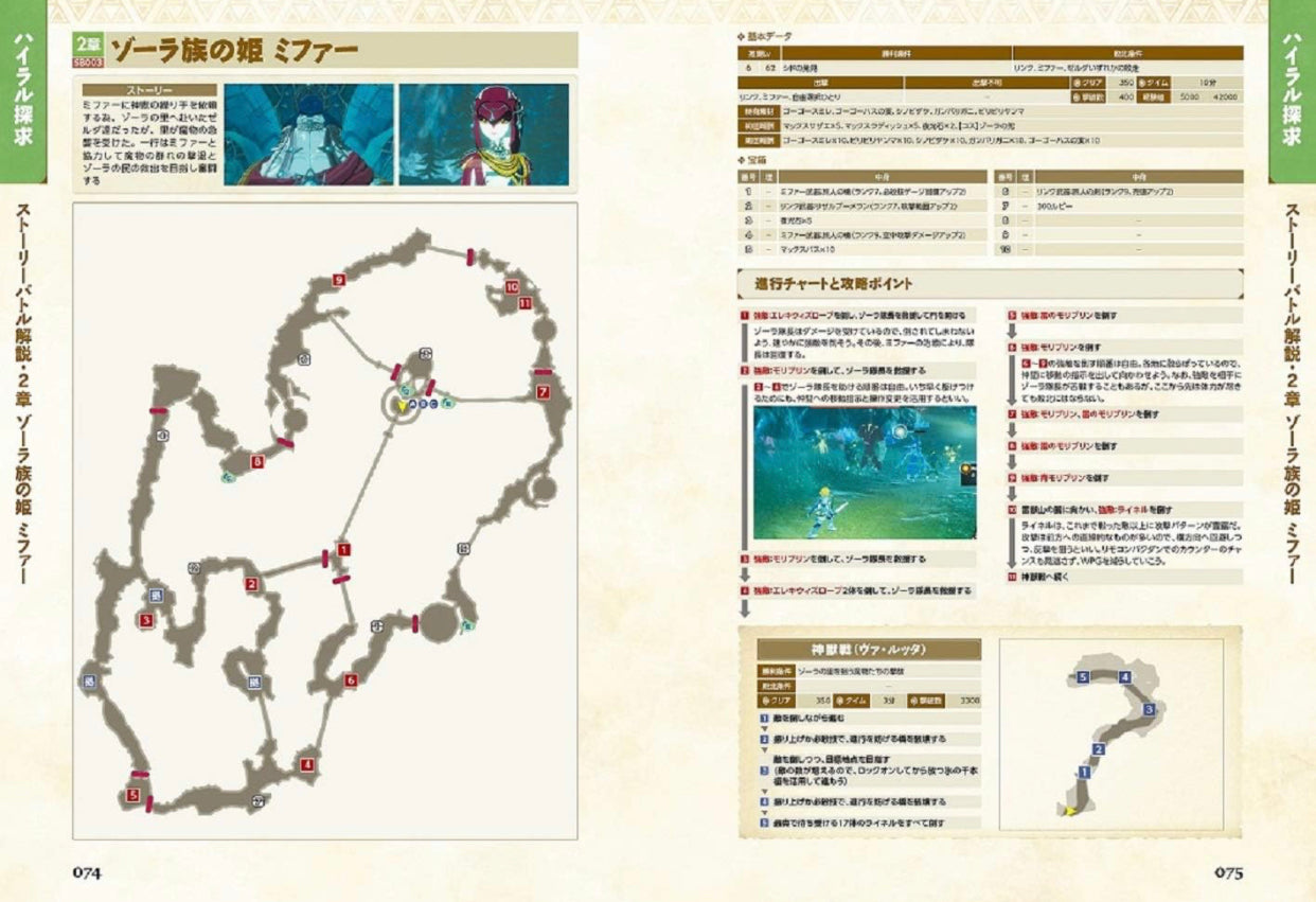 Zelda Warriors: Calamity Apocalypse Perfect Guide (Japanese version) (271 pages)