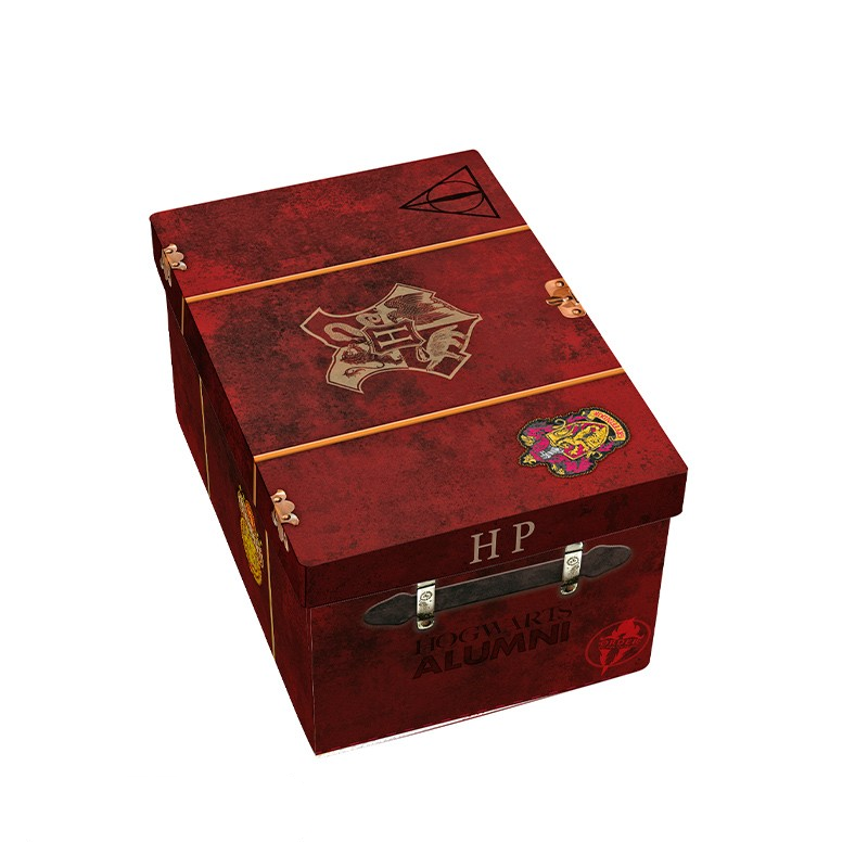 Harry Potter Premium Gift Set 3D Mug + 3D Keychain + Harry's suitcase Pin