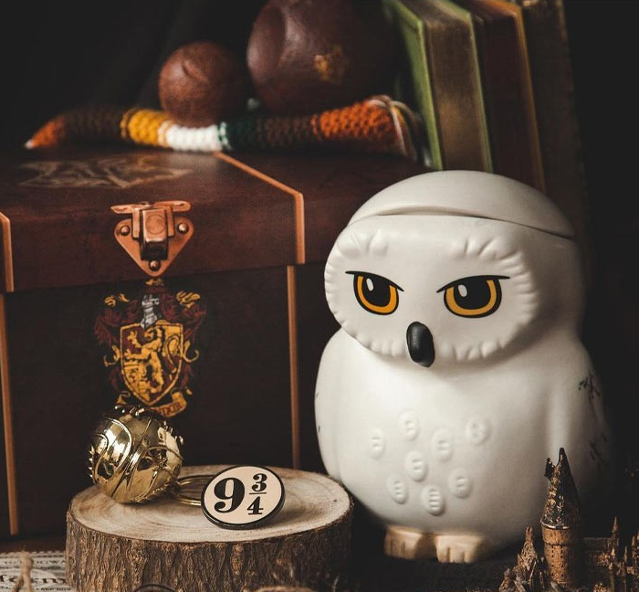 Harry Potter Premium Gift Set 3D Mug + 3D Keychain + Harry's suitcase Pin