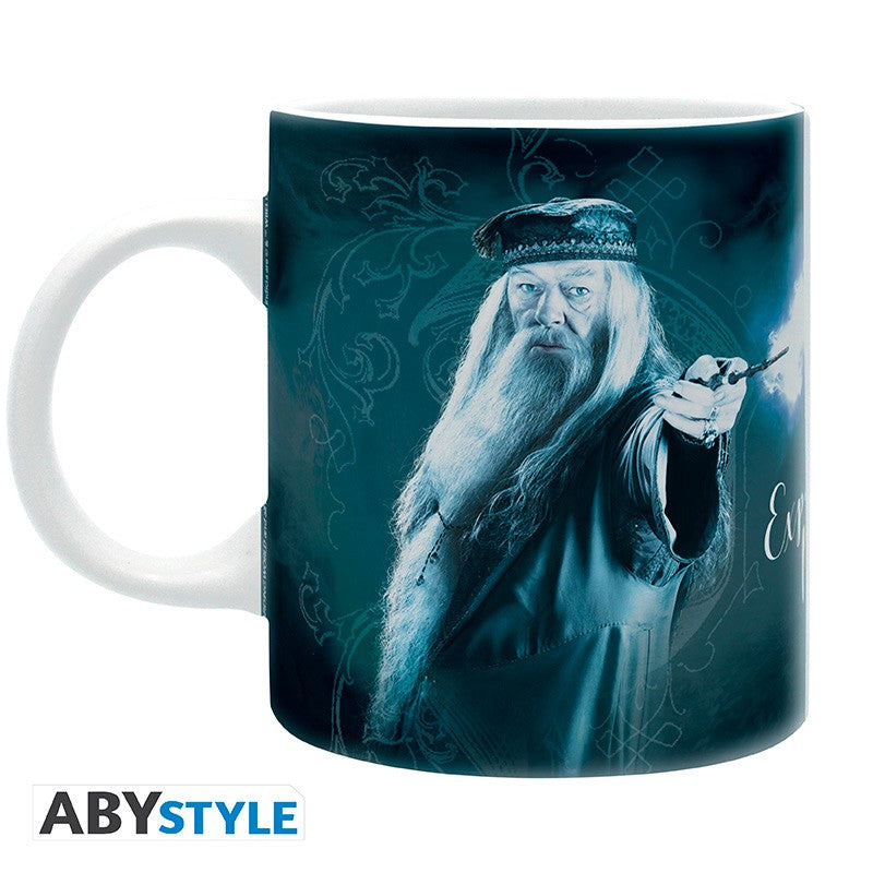 Official Harry Potter Mug (320ml)