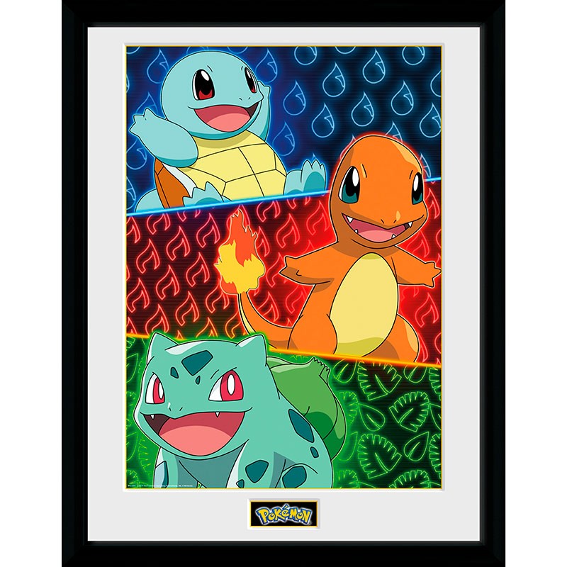 Official Pokemon Framed (30.5 x 40.6cm)