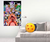 Official Anime Dragonball Z Cushion